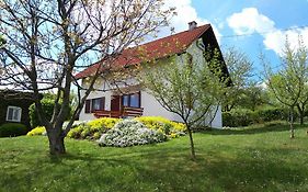 Guest House Kolic